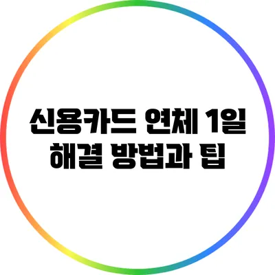 신용카드 연체 1일: 해결 방법과 팁