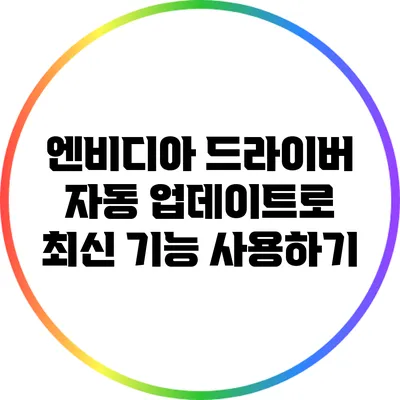 엔비디아 드라이버 자동 업데이트로 최신 기능 사용하기