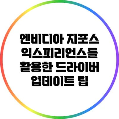 엔비디아 지포스 익스피리언스를 활용한 드라이버 업데이트 팁