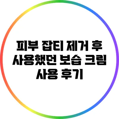 피부 잡티 제거 후 사용했던 보습 크림 사용 후기