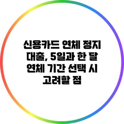 신용카드 연체 정지 대출, 5일과 한 달 연체 기간 선택 시 고려할 점