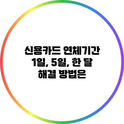 신용카드 연체기간 1일, 5일, 한 달: 해결 방법은?