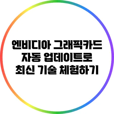 엔비디아 그래픽카드 자동 업데이트로 최신 기술 체험하기