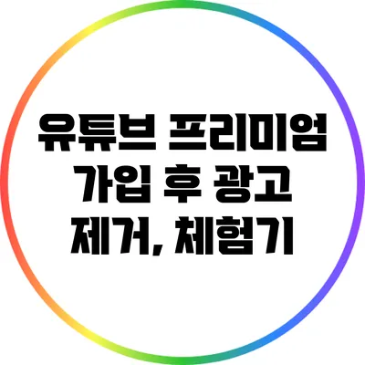 유튜브 프리미엄 가입 후 광고 제거, 체험기