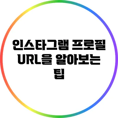 인스타그램 프로필 URL을 알아보는 팁