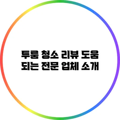 투룸 청소 리뷰: 도움 되는 전문 업체 소개