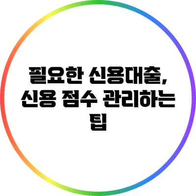 필요한 신용대출, 신용 점수 관리하는 팁