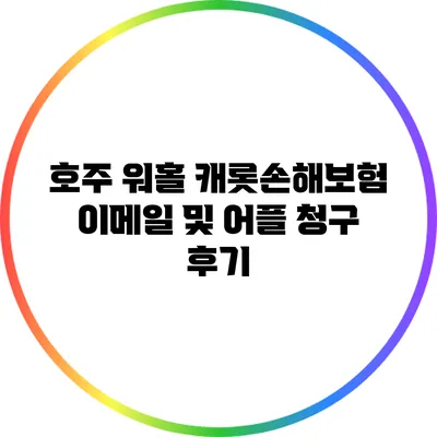 호주 워홀: 캐롯손해보험 이메일 및 어플 청구 후기