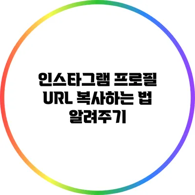 인스타그램 프로필 URL 복사하는 법 알려주기