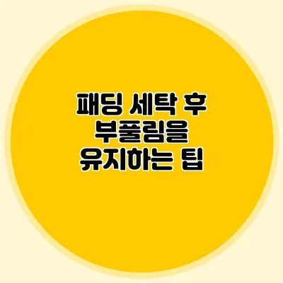 패딩 세탁 후 부풀림을 유지하는 팁