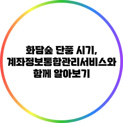 화담숲 단풍 시기, 계좌정보통합관리서비스와 함께 알아보기