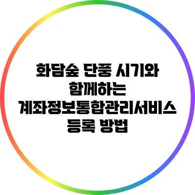 화담숲 단풍 시기와 함께하는 계좌정보통합관리서비스 등록 방법