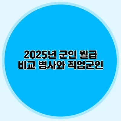 2025년 군인 월급 비교 병사와 직업군인