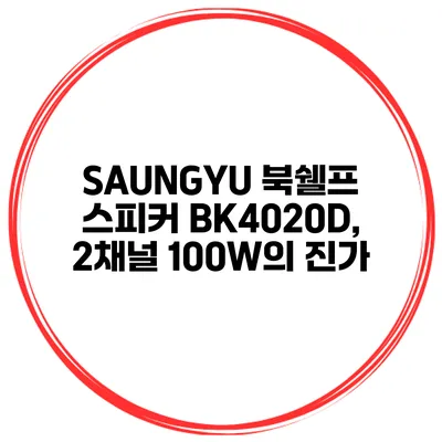 SAUNGYU 북쉘프 스피커 BK4020D, 2채널 100W의 진가