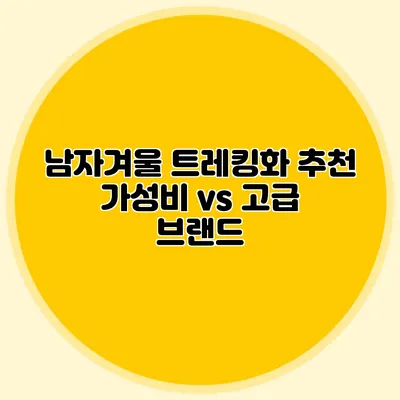 남자겨울 트레킹화 추천: 가성비 vs 고급 브랜드