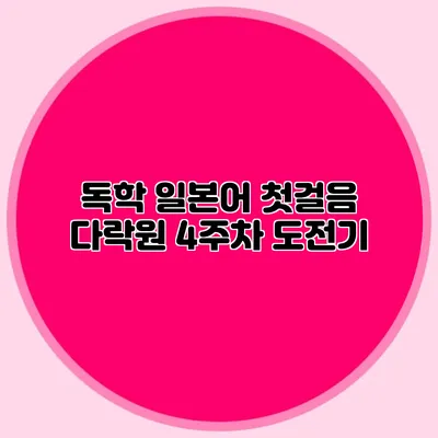 독학 일본어 첫걸음: 다락원 4주차 도전기