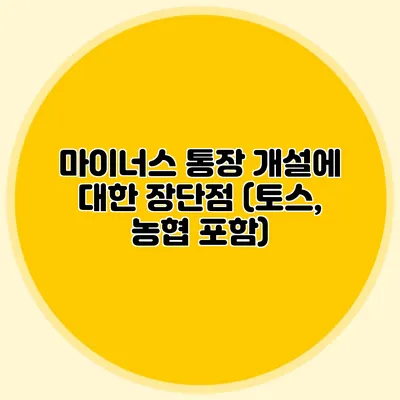 마이너스 통장 개설에 대한 장단점 (토스, 농협 포함)