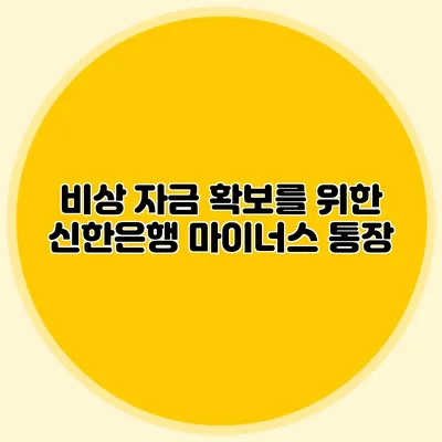 비상 자금 확보를 위한 신한은행 마이너스 통장