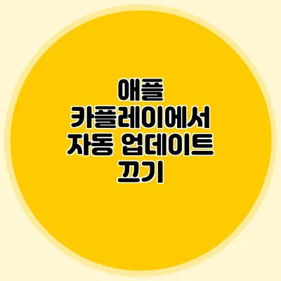 애플 카플레이에서 자동 업데이트 끄기