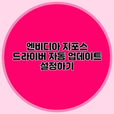 엔비디아 지포스 드라이버 자동 업데이트 설정하기