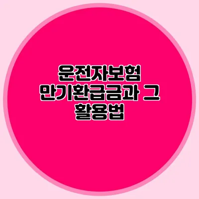 운전자보험 만기환급금과 그 활용법