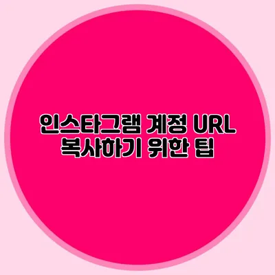인스타그램 계정 URL 복사하기 위한 팁