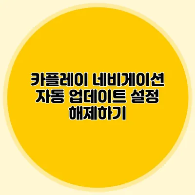 카플레이 네비게이션 자동 업데이트 설정 해제하기